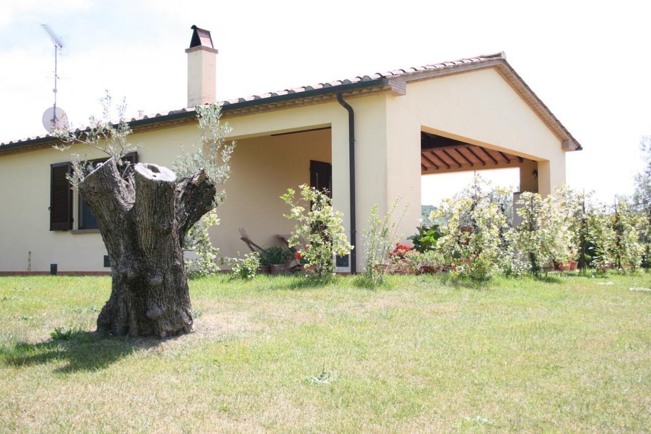 Graziosa Casetta Con Piscina Castagneto Carducci Εξωτερικό φωτογραφία